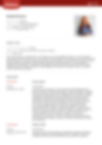 Cv Preview