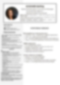 Cv Preview