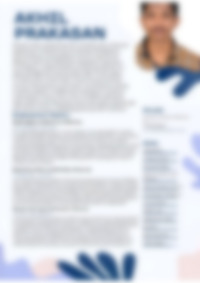 Cv Preview
