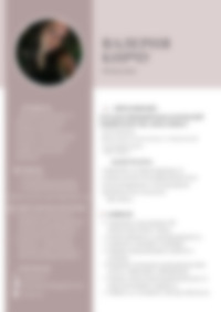 Cv Preview