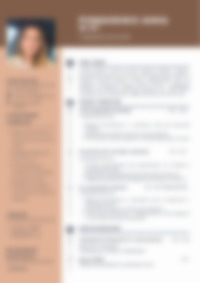 Cv Preview