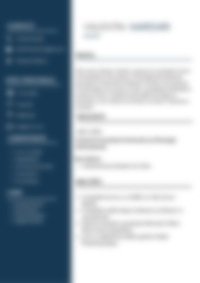 Cv Preview