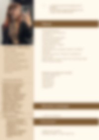 Cv Preview