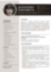 Cv Preview