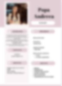 Cv Preview