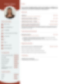 Cv Preview