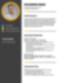 Cv Preview