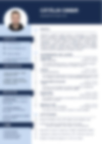 Cv Preview