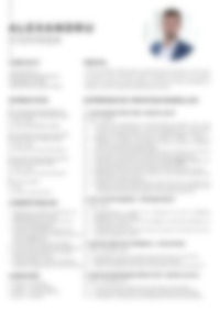 Cv Preview