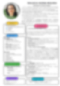 Cv Preview