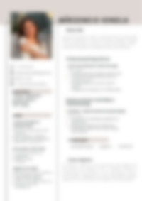 Cv Preview