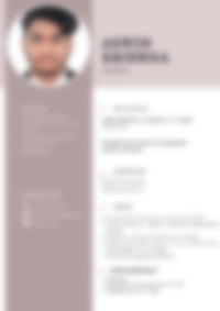 Cv Preview