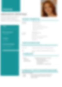 Cv Preview