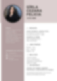 Cv Preview
