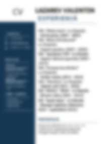 Cv Preview