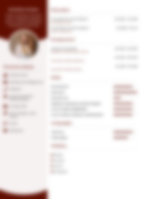 Cv Preview