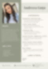 Cv Preview