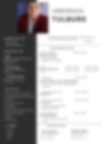 Cv Preview