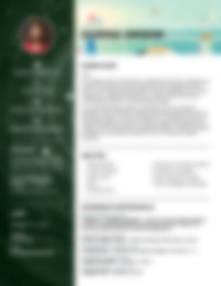 Cv Preview