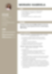 Cv Preview