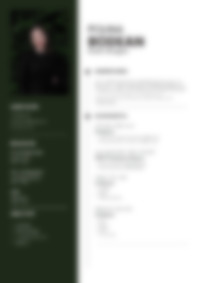 Cv Preview