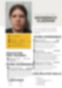 Cv Preview