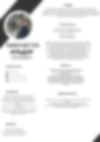 Cv Preview