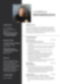 Cv Preview