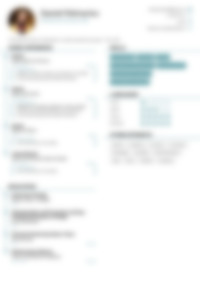 Cv Preview