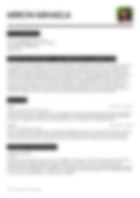 Cv Preview