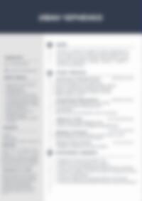 Cv Preview