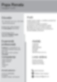 Cv Preview