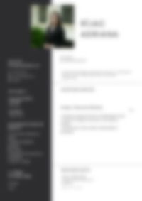 Cv Preview