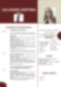 Cv Preview