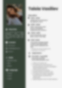Cv Preview