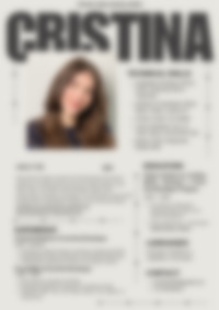 Cv Preview