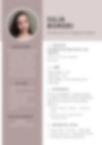 Cv Preview
