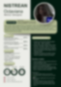 Cv Preview