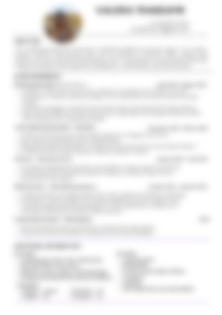 Cv Preview
