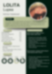 Cv Preview
