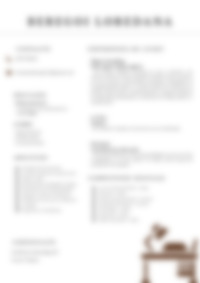 Cv Preview