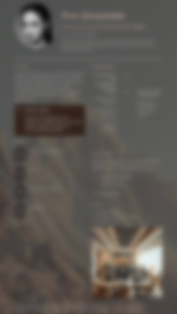 Cv Preview