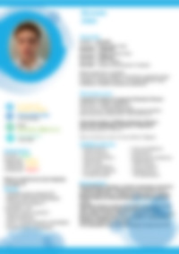 Cv Preview