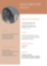 Cv Preview