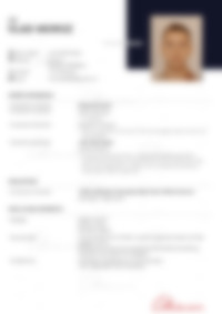 Cv Preview