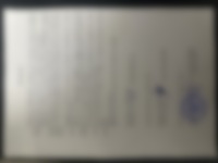 Cv Preview