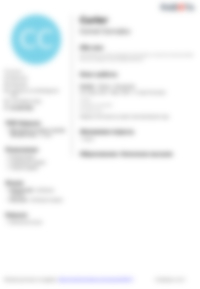 Cv Preview