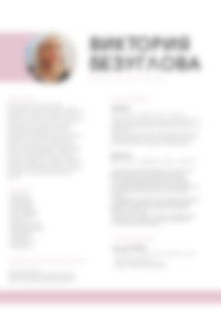 Cv Preview