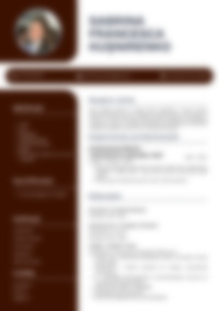 Cv Preview