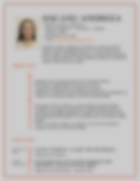 Cv Preview